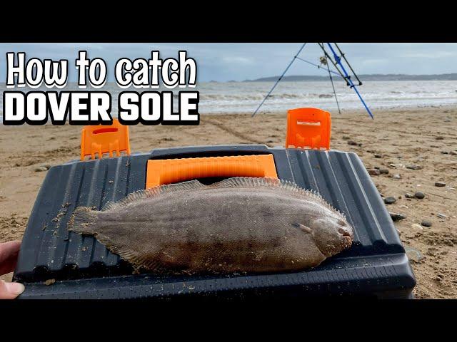 FISHING FOR SOLE - SWANSEA BAY