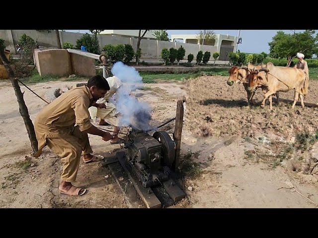 Village Life of Farmers in Pakistan | Peter Engine Starting | Plowing with Bulls