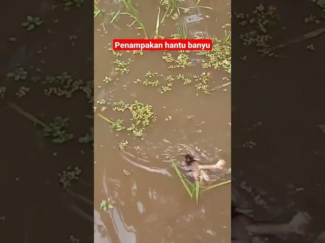 Viral Penampakan (Onggo Inggi) Hantu Air Jawa - Demit Banyu Jowo