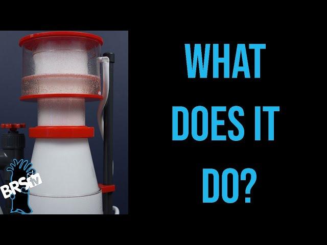 What Is a Protein Skimmer and Do You Really Need One? | Ep.1 BRStv Guide to Skimmers