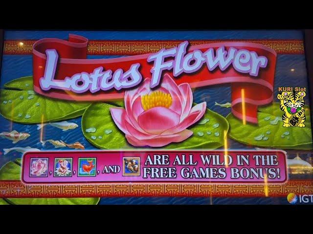 HOPE YOU LIKE THIS BEAUTIFUL GAME !LOTUS FLOWER Slot (IGT) $250 Free Play栗スロ Yaamava' Casino