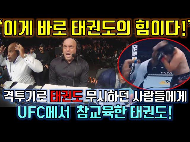 태권도를 배운 미국 유명 종합격투기 선수가 보여준 실전 태권도 발차기! [해외반응]