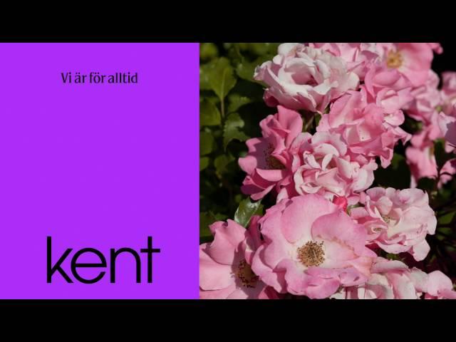 Kent - Vi är för alltid (Official Audio)