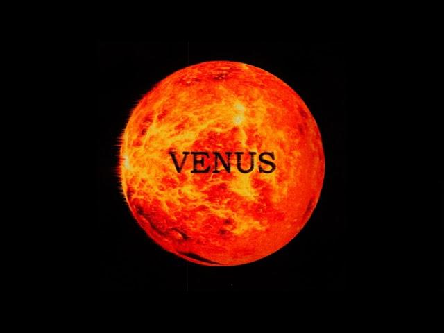 TWSX - VENUS