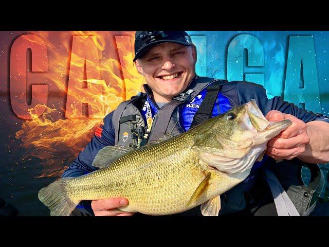 The BEST Cayuga Lake Bass Fishing Techniques! - Day 1 - Lipless Crankbaits, Chatterbaits