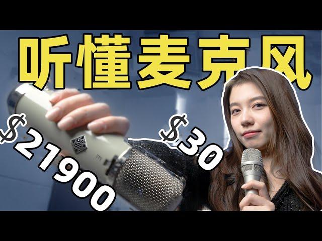 你能听出30美元和20000美元麦克风的区别吗？| 器材专业性能测评 | LIKEMUSIC王也