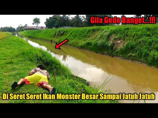 Ngeri...!!! Detik² Menegangkan Saat Joran Terbang Dibantai Ikan Terganas Penghuni Sungai Ini