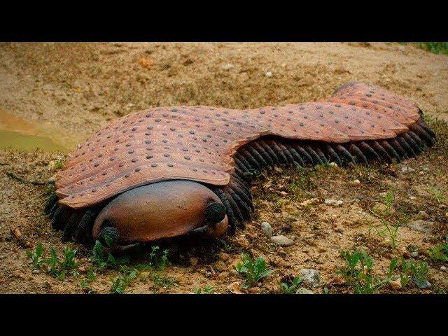 10 Dangerous Animals You Should Run Away From