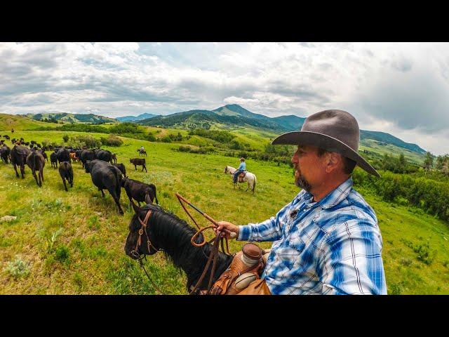 A Day in the Life of Modern COWBOYS in MONTANA - What it's Like!