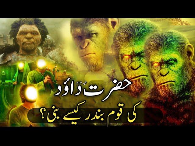 How did the people of Hazrat Dawood (as) become monkeys? | hazrat dawood as ka waqia |#qasasulislam