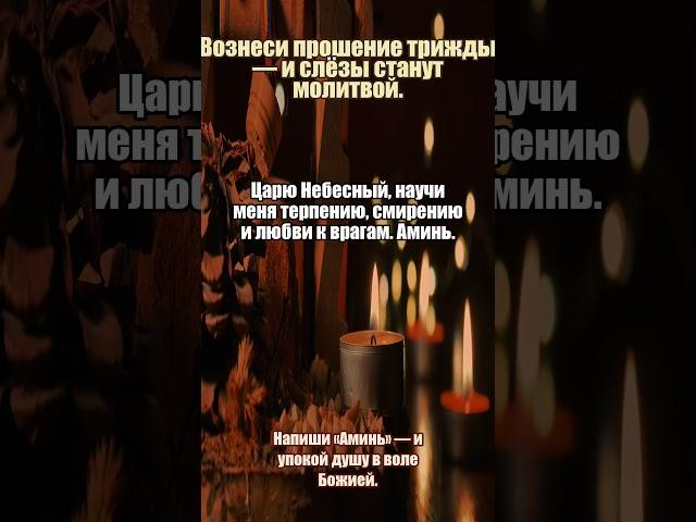Молитва за тихий вечер #вечер #спокойствие #православие