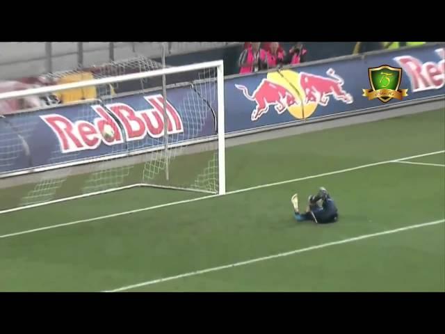 Goal from 65m | Martin Hinteregger | Schalke 04 vs Red Bull Salzburg