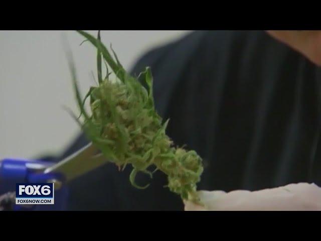 Wisconsin medical marijuana legalization debated at hearing | FOX6 News Milwaukee