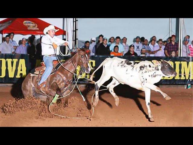 TEAM ROPING MVOWEEK 2023 • LAÇADAS • THALLYS BODINHO • LAÇO PÉ •