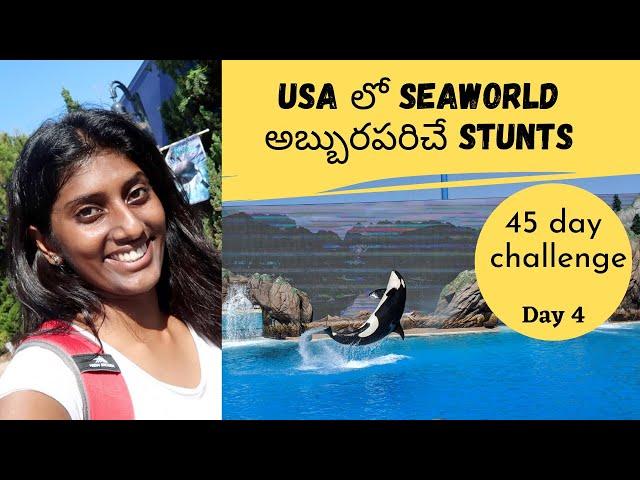 Seaworld in USA|Awesome stunts by sea animals | Subha Veerapaneni | Telugu traveller | Telugu vlogs