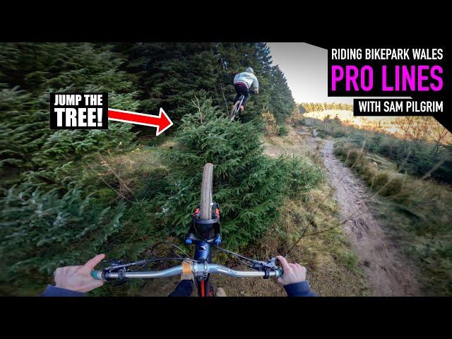 RIDING PRO LINES AT BIKEPARK WALES WITH SAM PILGRIM!!