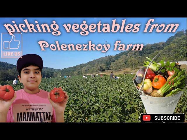 Visiting Polenezkoy Nature Farm - Living in Turkey,Istanbul | Yuaw Vlog