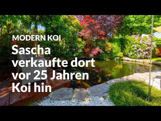 Wolfgangs uralter und wunderschöner 35.000 Liter Teich | Modern Koi Blog #6805