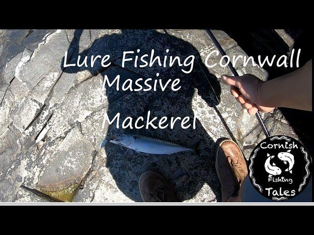 Lure fishing Cornwall- - I Catch The Biggest Mackerel I've seen
