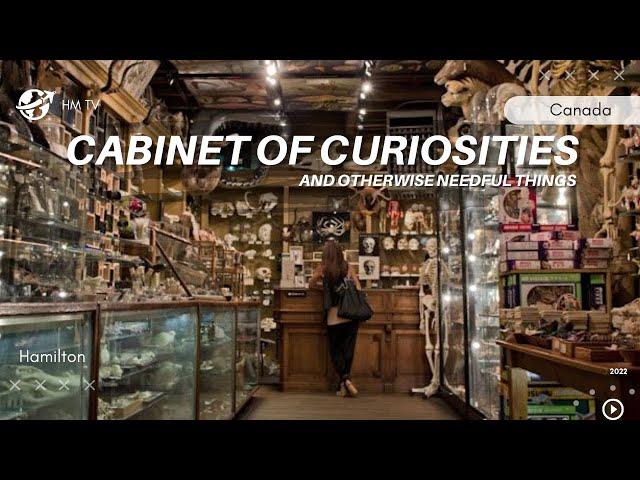 Cabinet of Curiosities and Otherwise Needful Things Tour in Hamilton Ontario