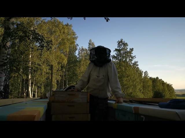Едем на липу