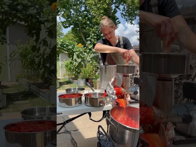 Preserving Tomatoes - Lets Make Sauce! #backyardgardening #growyourownfood #backyardhomestead