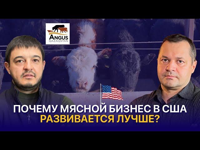 Мясной бизнес в Казахстане и США: чего не хватает нашим фермерам?