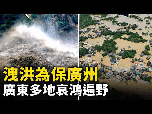 為保廣州 洩洪致廣東多地成澤國 水深處達4米 哀鴻遍野｜ #人民報