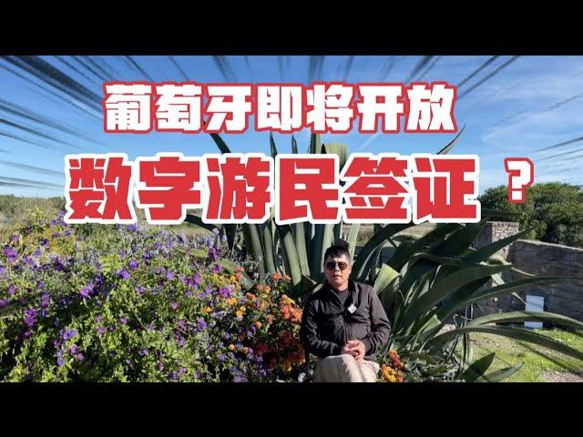 葡萄牙将于本月底开放数字游民签证，这种签证适合哪些人群？怎么申请？