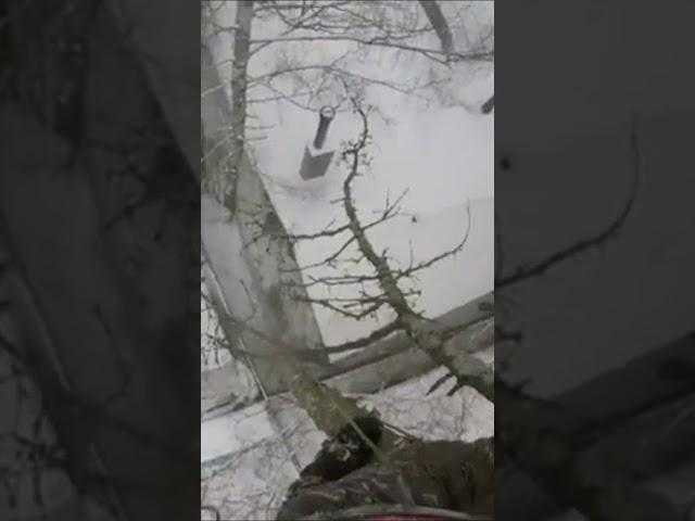 Подробное видео удаления дерева арбористом. Часть 4