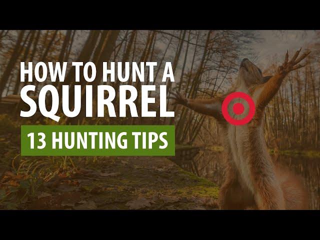 How To Hunt A Squirrel - 13 Hunting Tips