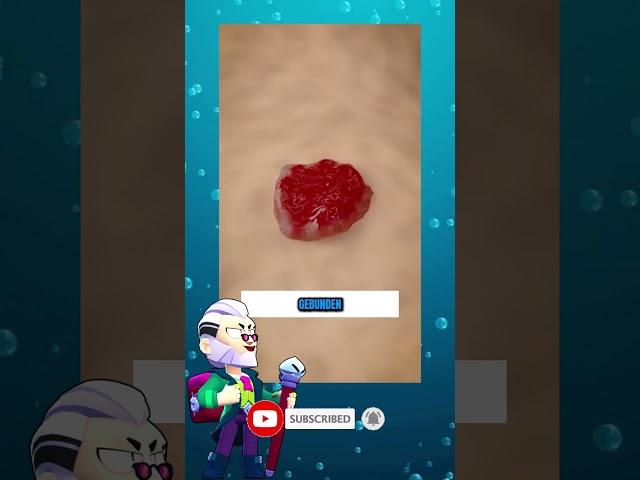 HautetikettVSMensch DRSurge‍‍️‍️#verrücktefragen#brawlstarsdeutsch