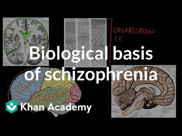 Biological basis of schizophrenia | Behavior | MCAT | Khan Academy
