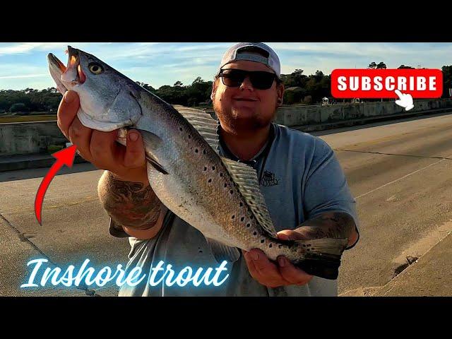 fishing for sea trout at pawleys island South Carolina!!