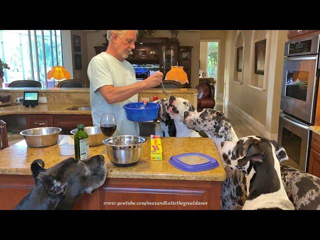 Five Polite Great Danes Enjoy A Round Of Pasta Treats