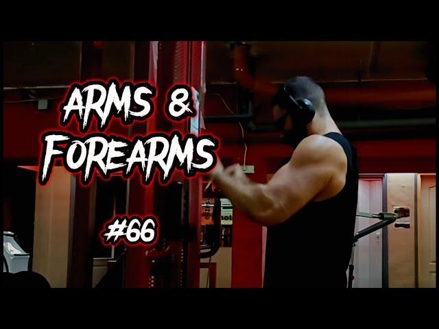 Road to Pro #66 - Arms and Forearms