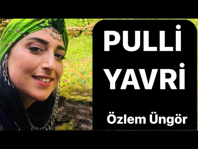 Özlem Üngör - Pulli Yavri