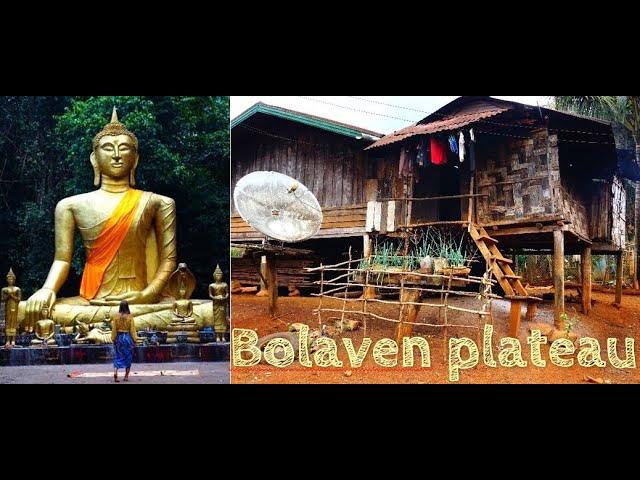 Loop Bolaven plateau  l  authentic Laos