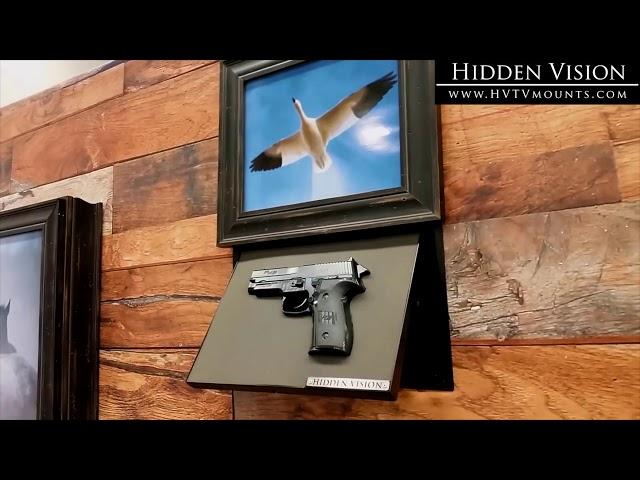 HIDDEN VISION - Gun Compilation