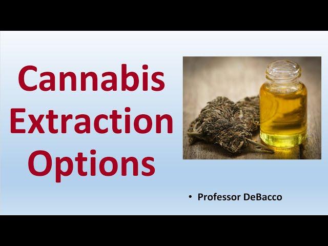 Cannabis Extraction Options