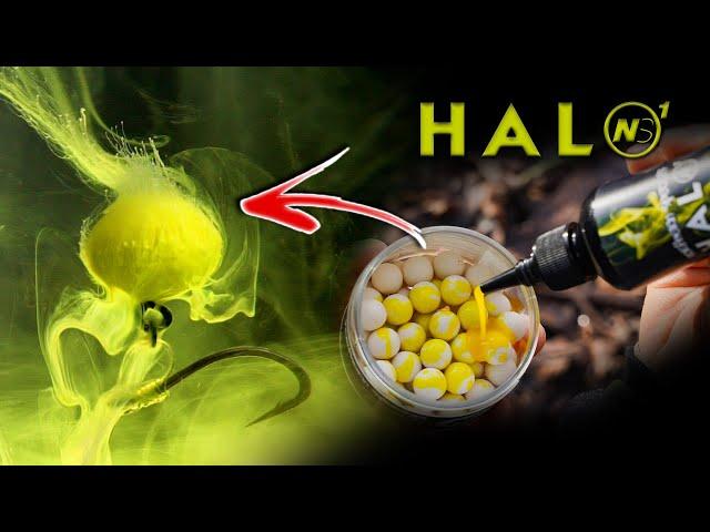 Why I Use HALO- We ask top CC Moore anglers  NEW PRODUCT 