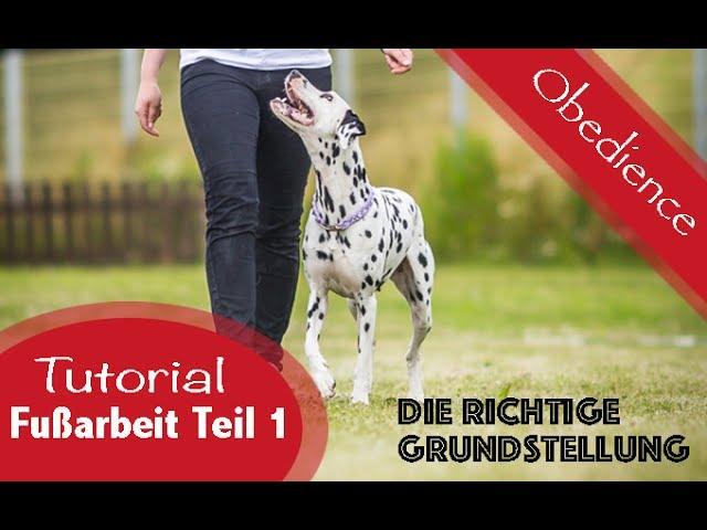 Aufbau der Fußarbeit - Teil 1 / Die Grundstellung / Obedience Training / Tutorial