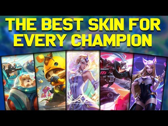 The Best Skin for EVERY Champion in League of Legends! - Chosen by YOU!