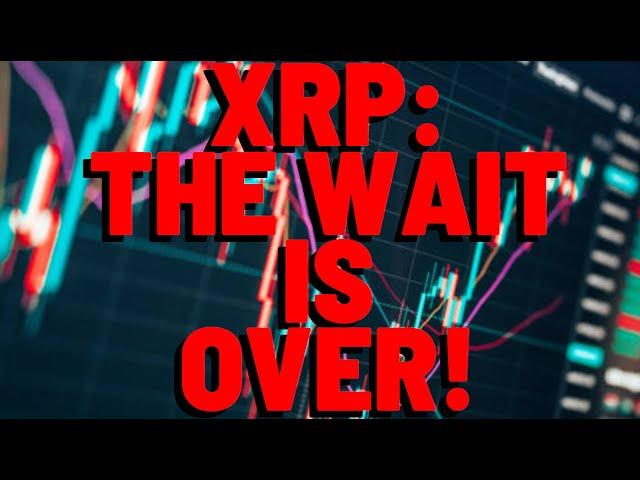 XRP VOLUME EXPLODES! THEY'RE ALL ADDING XRP!