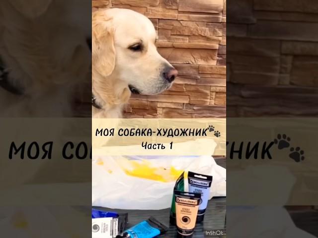 МОЯ СОБАКА-НАСТОЯЩИЙ ХУДОЖНИК #творчество