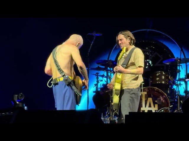 Red Hot Chili Peppers - Flea & John Frusciante`s jam (Live) 4K