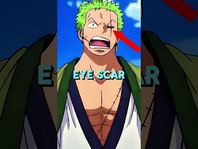 How Zoro Got Left Eye Scar? | Onepiece