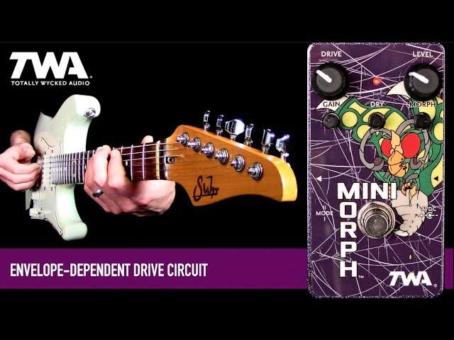 TWA MINIMORPH Dynamic Waveshaper