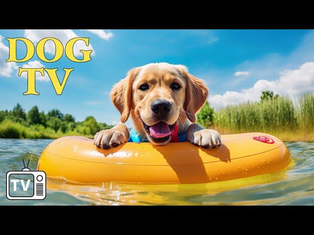 DOG TV: Best Entertain Videos for Anxious Dogs When Home Alone - 24 Hours of Soothing Music for dogs