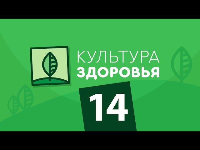 Мы и наше время  / Выпуск 14 / Культура Здоровья